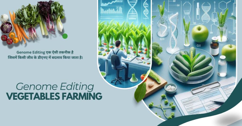 Genome Editing vegetables 