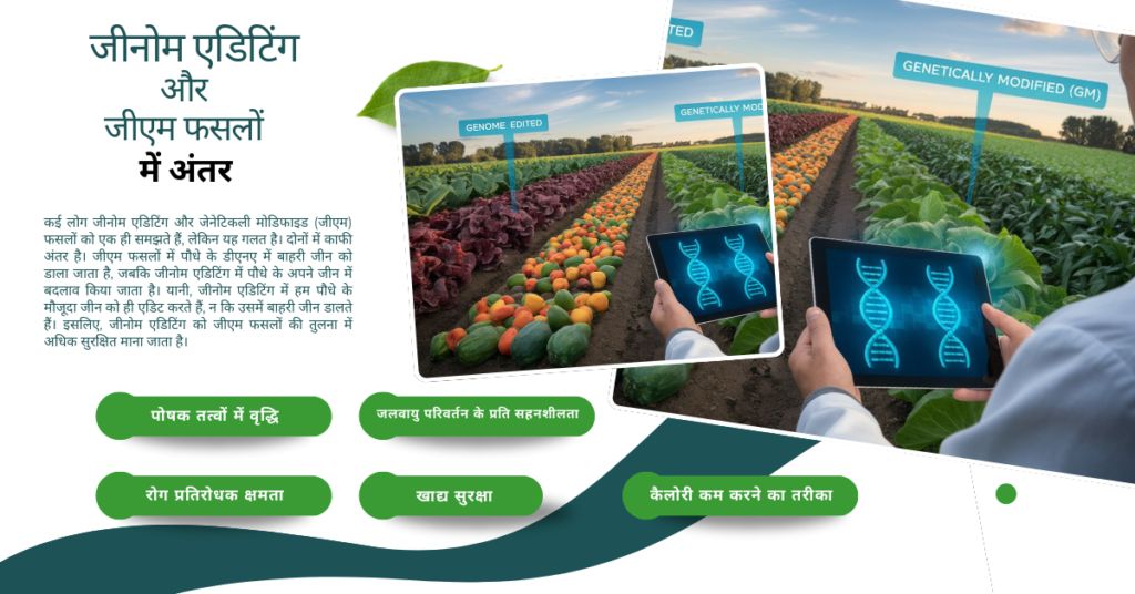 Genome Editing vegetables